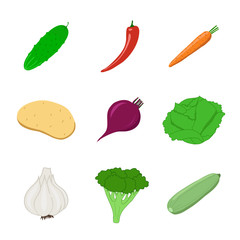 Vegetables set. Isolated on white background. Vector illustration.