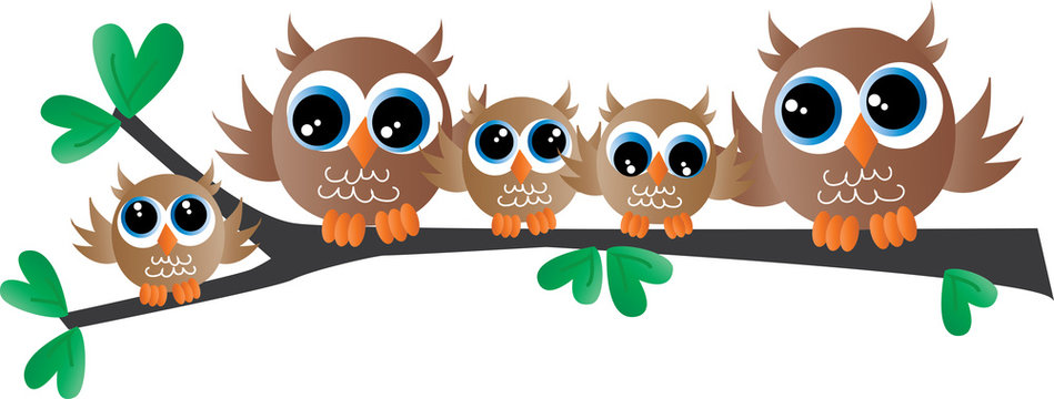 cute owl family sitting on a branch