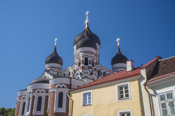 Fototapeta premium Alexander Nevsky Cathedral