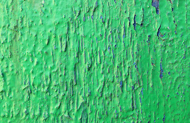 texture old peeling paint green with blue crack