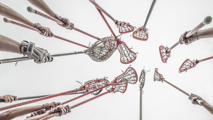 lacrosse sticks