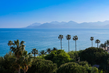 Naklejka premium Obrazek port Cannes stary miasto przy Francuskim Riviera, Francja