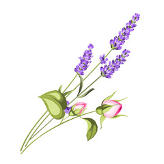 Fototapeta na wymiar Label with lavender. Bunch of summer flowers on a white background. Botanical illustration. Vintage style. Making gifts of paper and textiles. Vector illustration