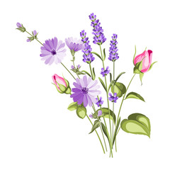 Obraz na płótnie Canvas The chicory garland with rose and lavender botanical card. A summer decorative bouquet of endive and rose flowers. Small floral garland. Vector illustration.