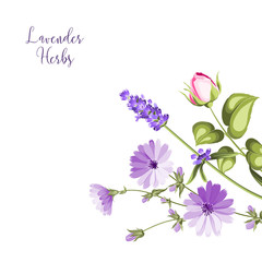 Obraz na płótnie Canvas Label with lavender. Bunch of lavender flowers on a white background. Botanical illustration in vintage style with sign Lavender herbs.