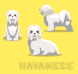 Dog Havanese Cartoon Vector Illustration