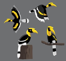 Bird Poses Great Hornbill Vector Illustration © bullet_chained