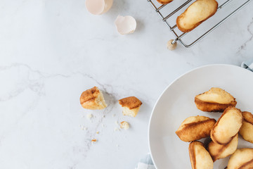 Homemade madeleine on mable background. 