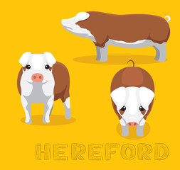 Pig Hereford Cartoon Vector Illustration