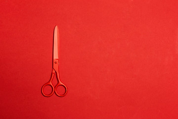 scissors on color background
