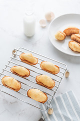 Homemade madeleine on mable background. 