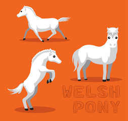 Horse Welsh Pony Cartoon Vector Illustration