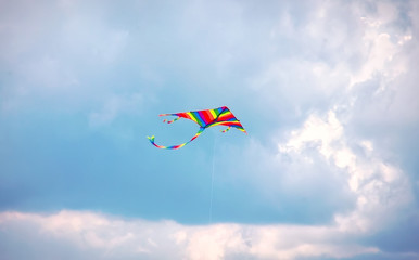kite flying in the blue sky, summer festival,