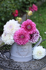 Dahlien-Blumenstrauß in Weiß und Pink