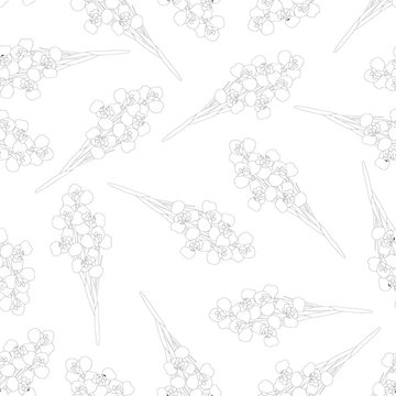 Iris Flower Seamless Outline on White Background