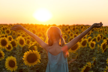 Naklejka na ściany i meble girl at the field of sunflowers