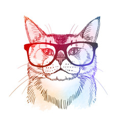 Cute hipster - cat in retro nerdy glasses. Colorful hand drawn illustration, isolated on white. Vector eps10.