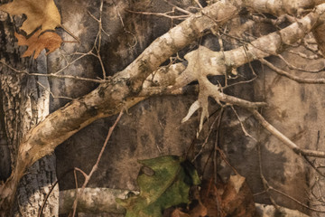 A Woodland Camouflage Pattern - obrazy, fototapety, plakaty