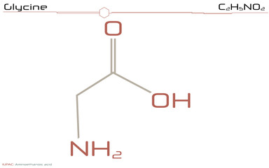 Large and detailed infographic of the molecule of Glycine
