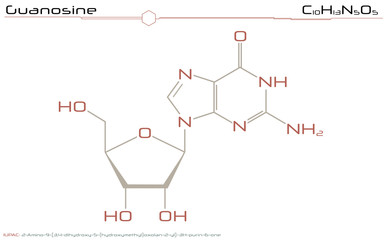 Large and detailed infographic of the molecule of Guanosine