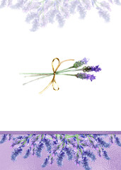 Background for cards, foil in purple tones. Lavender flowers-2
