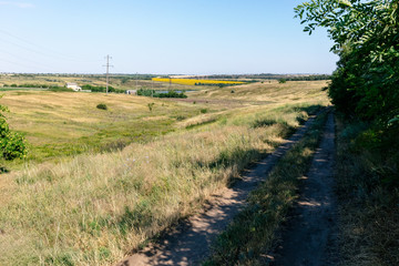 Fototapeta premium Beautiful summer field road in Ukraine