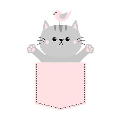 Gray cat, bird in pink pocket. Holding hands up. Give me a hug. Cute cartoon animals. Kitten kitty character. Dash line. Pet animal. White background. T-shirt design. Baby collection. Flat design