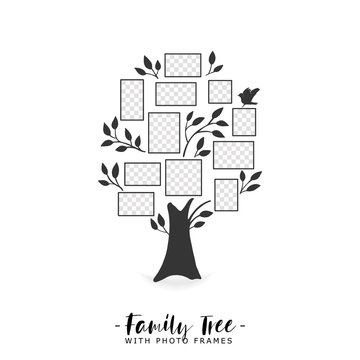 Family tree with photo frames. Memories. Insert your photo into template frames. Collage vector illustration.
