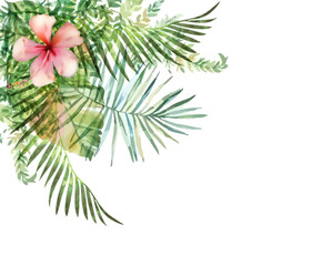 Hand drawn watercolor tropical plants.