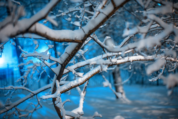 Winter background in night city