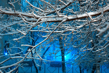 Winter background in night city