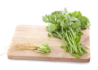 Green coriander leaves isolated on white background. This has clipping path.