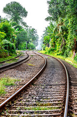 Obraz premium The old railway, going through the jungle in Sri Lanka. 