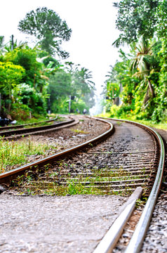 An old winding railway running through the jungle in Sri Lanka.
