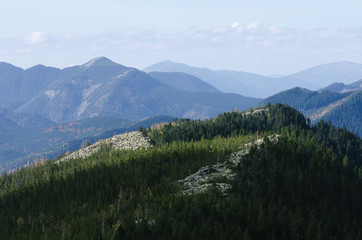 Fototapeta na wymiar Mountain landscape with spruce forest