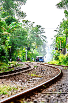 Railway in Sri Lanka, going through the jungle.
