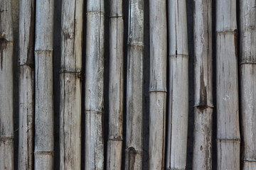 Dry weathered bamboo lacquered background fence