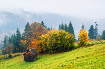 Autumn landscape with a wooden hut