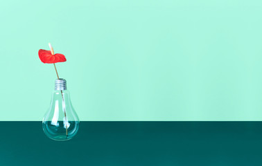 Red Anthurium flower in vase on green background.