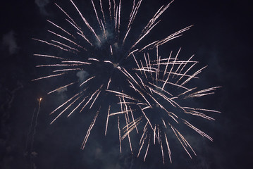 Fireworks at night