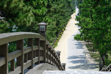 日光街道の草加松原