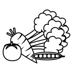 fresh vegetables healthy food