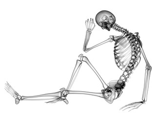 X RAY SKELETON 3D RENDER