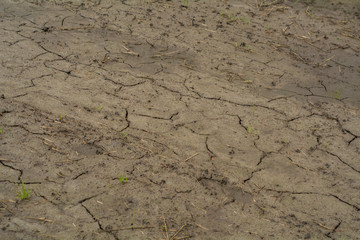 Dry and cracked ground texture