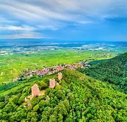 Fotobehang The Three Castles of Eguisheim or Husseren-les-Chateaux in the Haut-Rhin department of France © Leonid Andronov