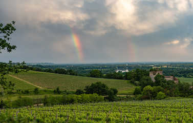 Colorful rainbow and storm in the sky above bordeaux vineyard