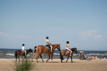 people on horses on beach walk summer day