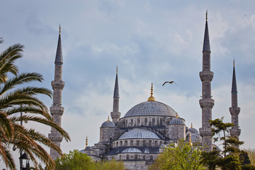 Sultan Ahmed Mosque in Istanbul, Turkey in a beautiful summer day