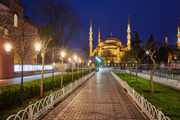 Fototapeta na wymiar view on Blue Mosque from Mehmet Akif Ersoy Park