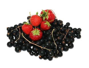 Berries strawberries and black currant with welcome isolated on white background.